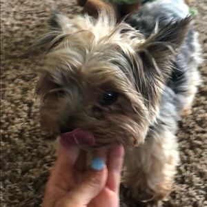 Meet your Posher, Heather